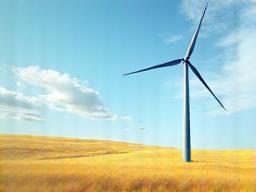 Wind turbine in a field